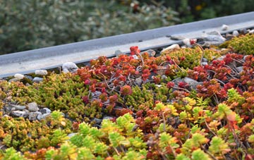the cost of Lower Dicker green roof installation