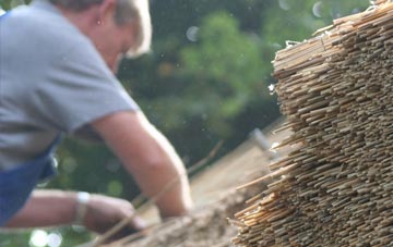 professional Lower Dicker thatchers